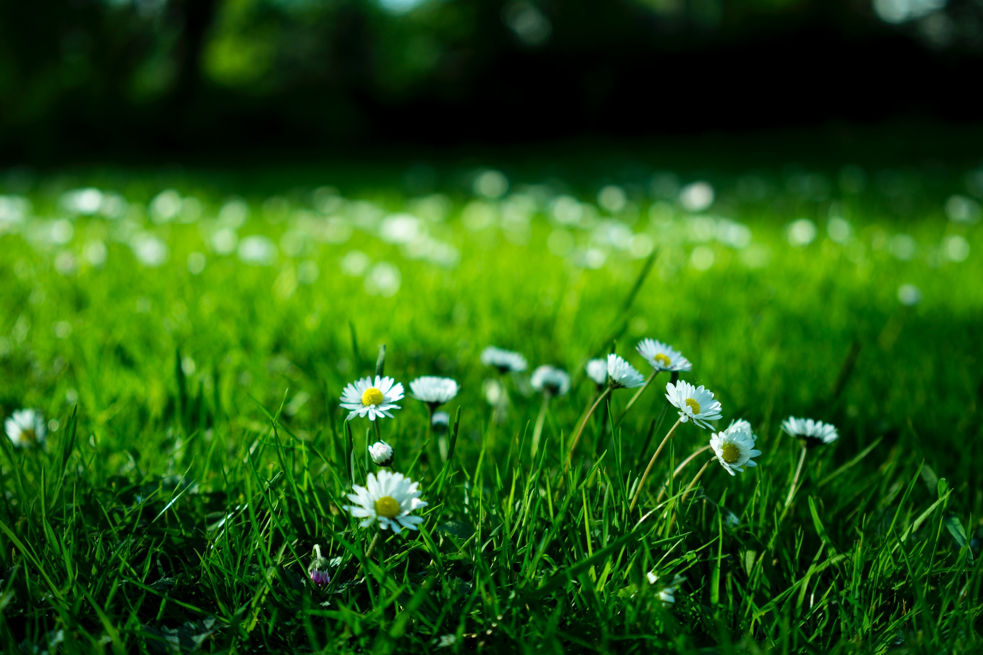 Patrimoine & Environnement