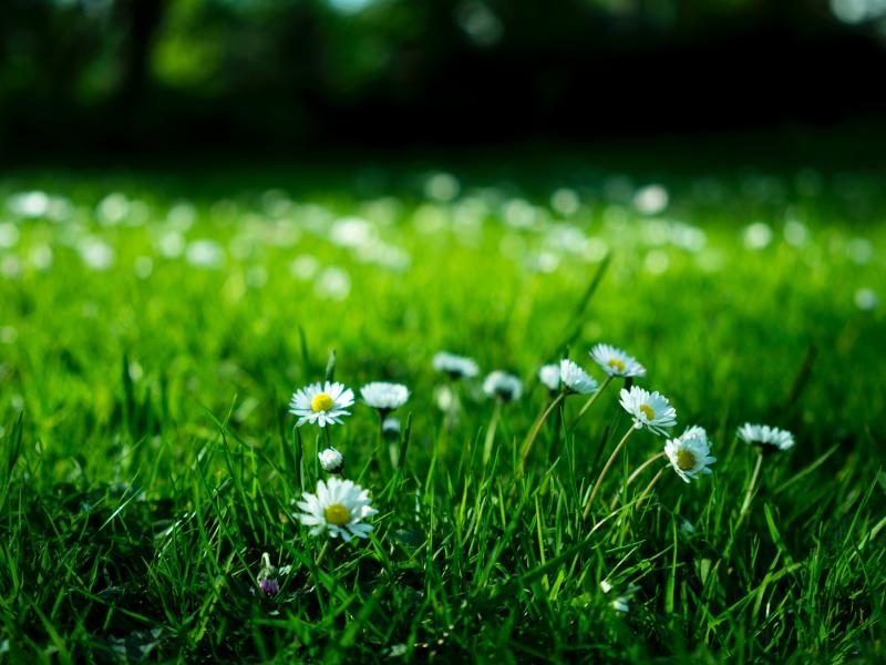 Patrimoine & Environnement